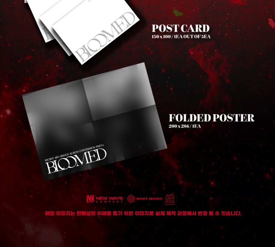 ASC2NT - CONVERSION PART.2 : BLOOMED Nolae