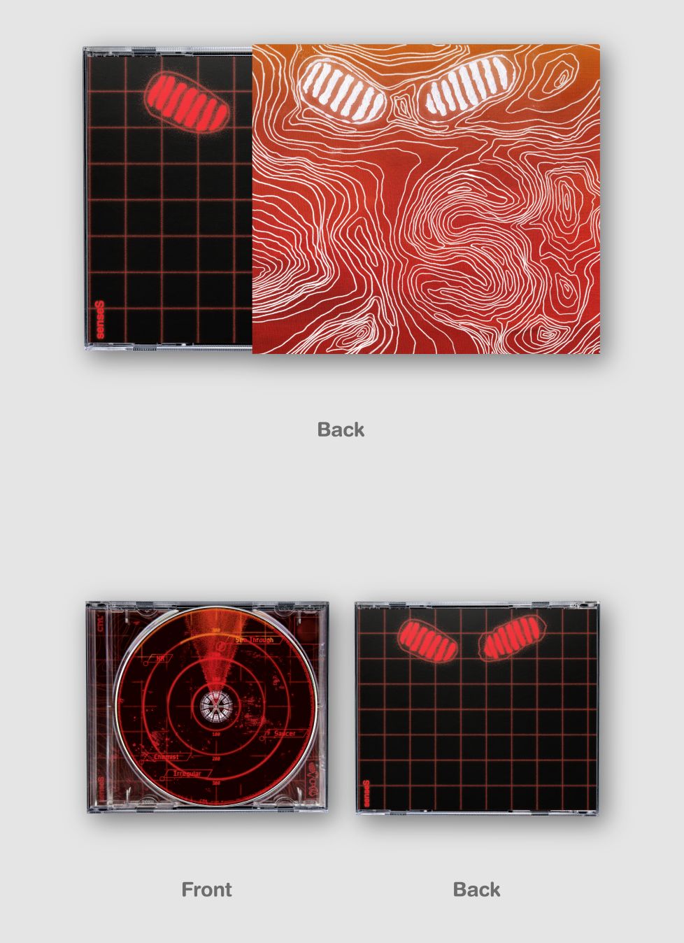 HONG DA BIN (DPR LIVE) - SENSES Nolae