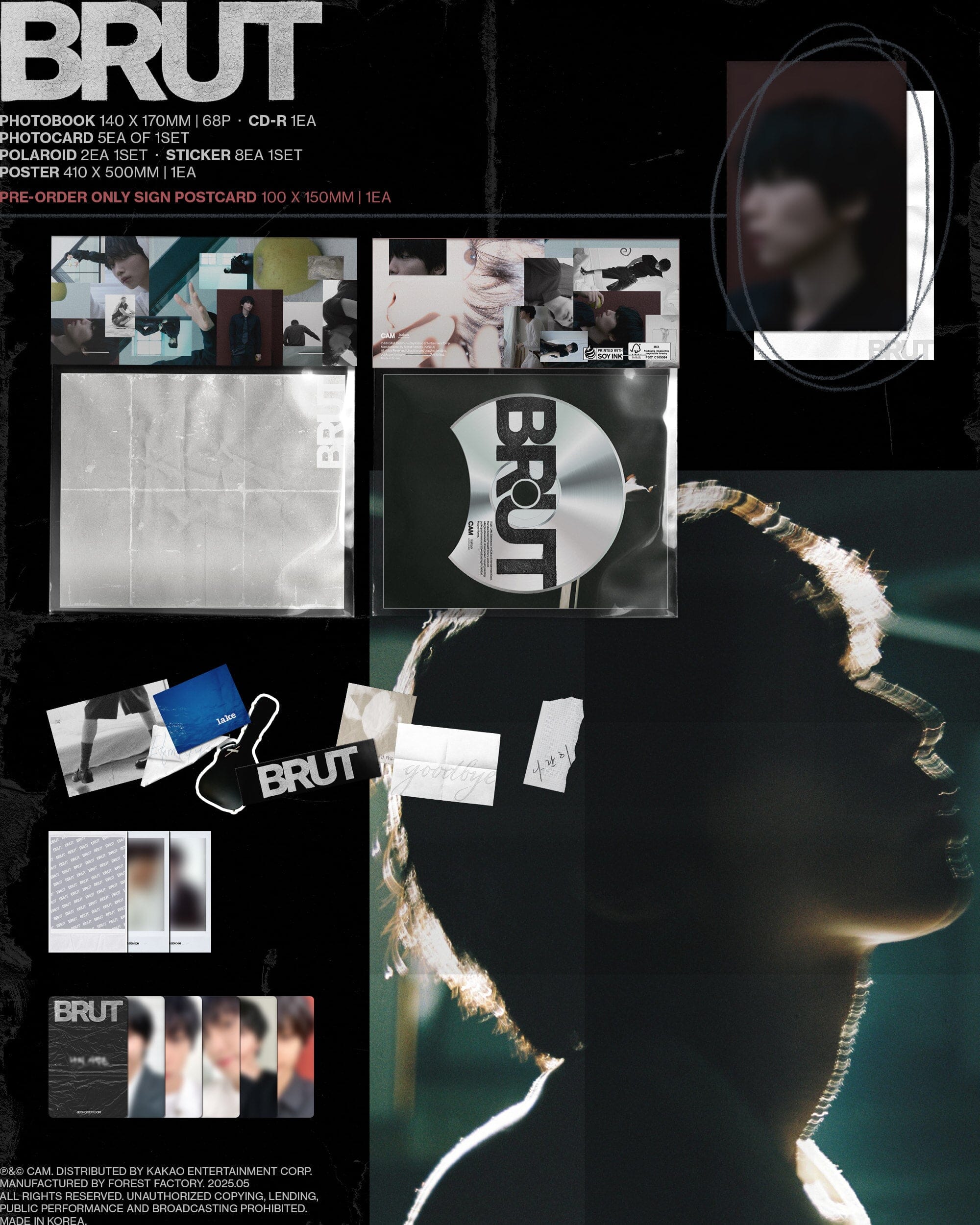 JEONG SE WOON - BRUT Nolae