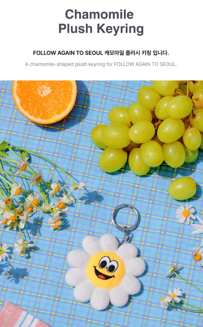 SEVENTEEN - TOUR 'FOLLOW' AGAIN TO SEOUL MD Nolae