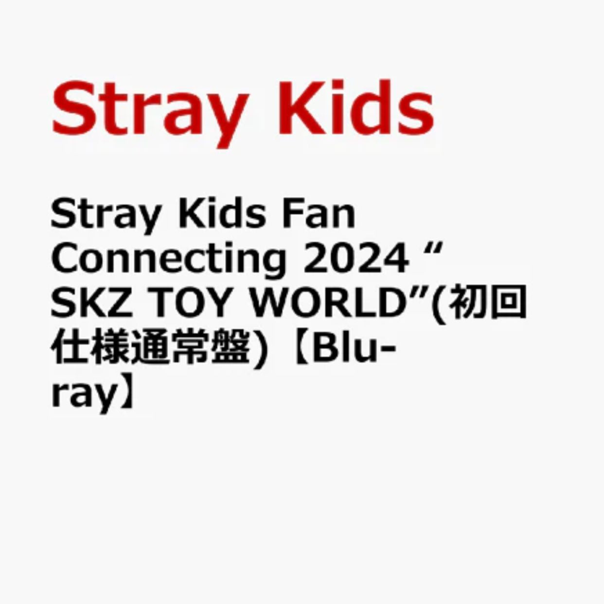 stray-kids-fan-connecting-2024