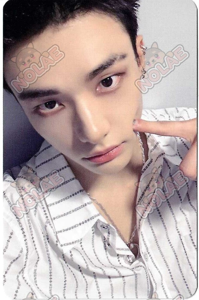 STRAY KIDS - KARMA - POB DEAR MY MUSE PHOTOCARD Nolae