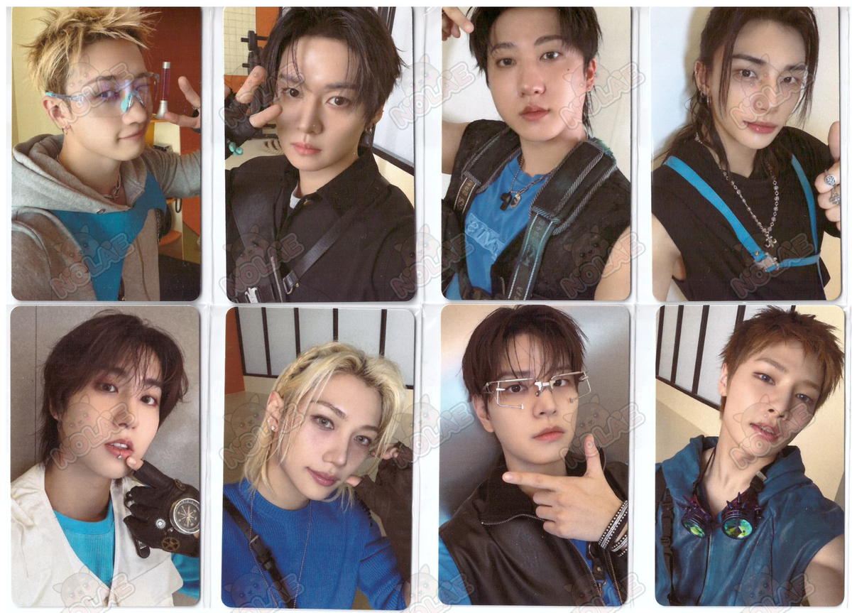 STRAY KIDS - THIS & THAT - FANS SHOP PHOTOCARD (FANS ALBUM)