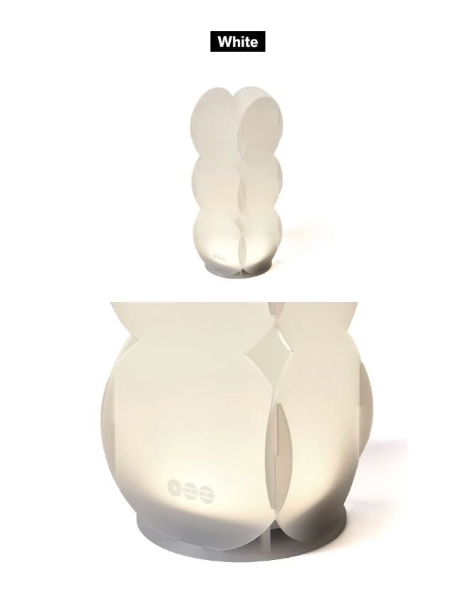 BTS - ARIRANG OFFICIAL MD Nolae