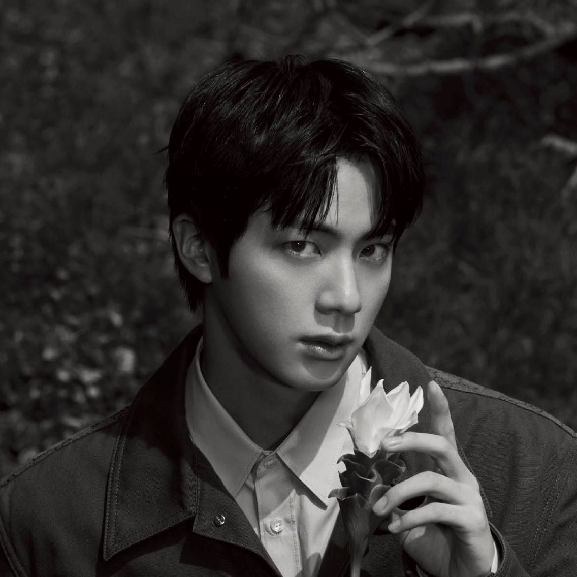 JIN (BTS) - VOGUE (DECEMBER JAPAN ISSUE) Nolae