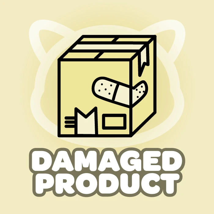 K-Pop Mystery Damaged Product Nolae