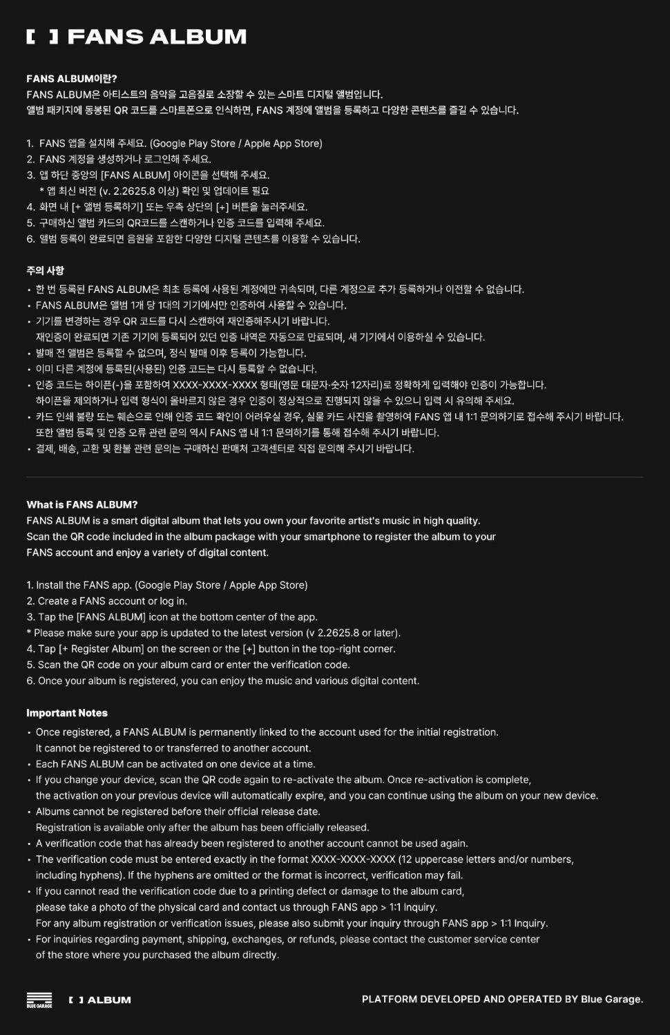 STRAY KIDS - THIS & THAT (FANS ALBUM VER.) Nolae