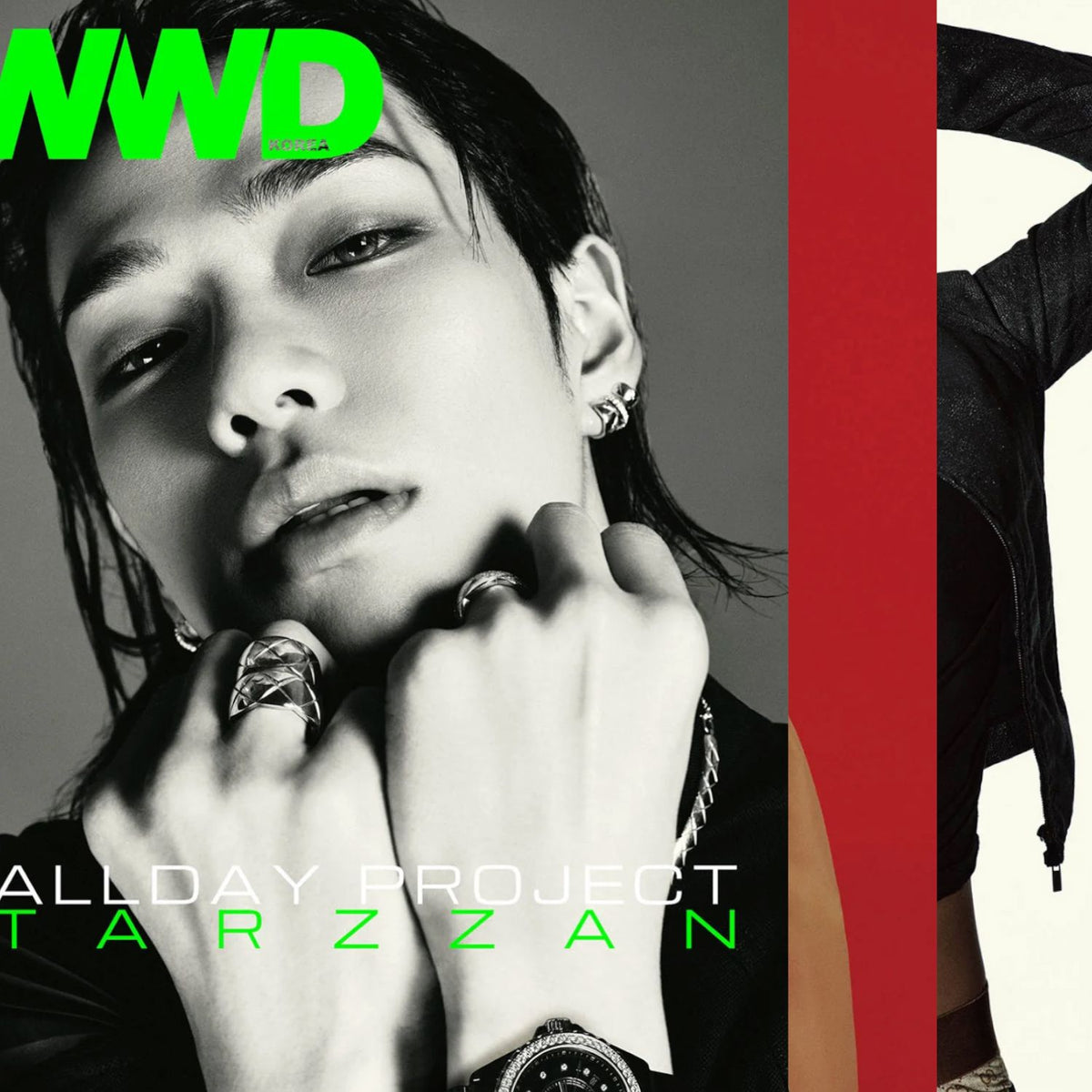 TARZZAN (ALLDAY PROJECT) - WWD (OCTOBER 2026) Nolae