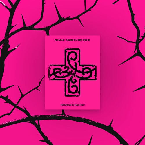 TXT - 7TH YEAR: WHEN THE WIND PAUSED AMONG THE THORNS (PPULBATU VER.) Nolae