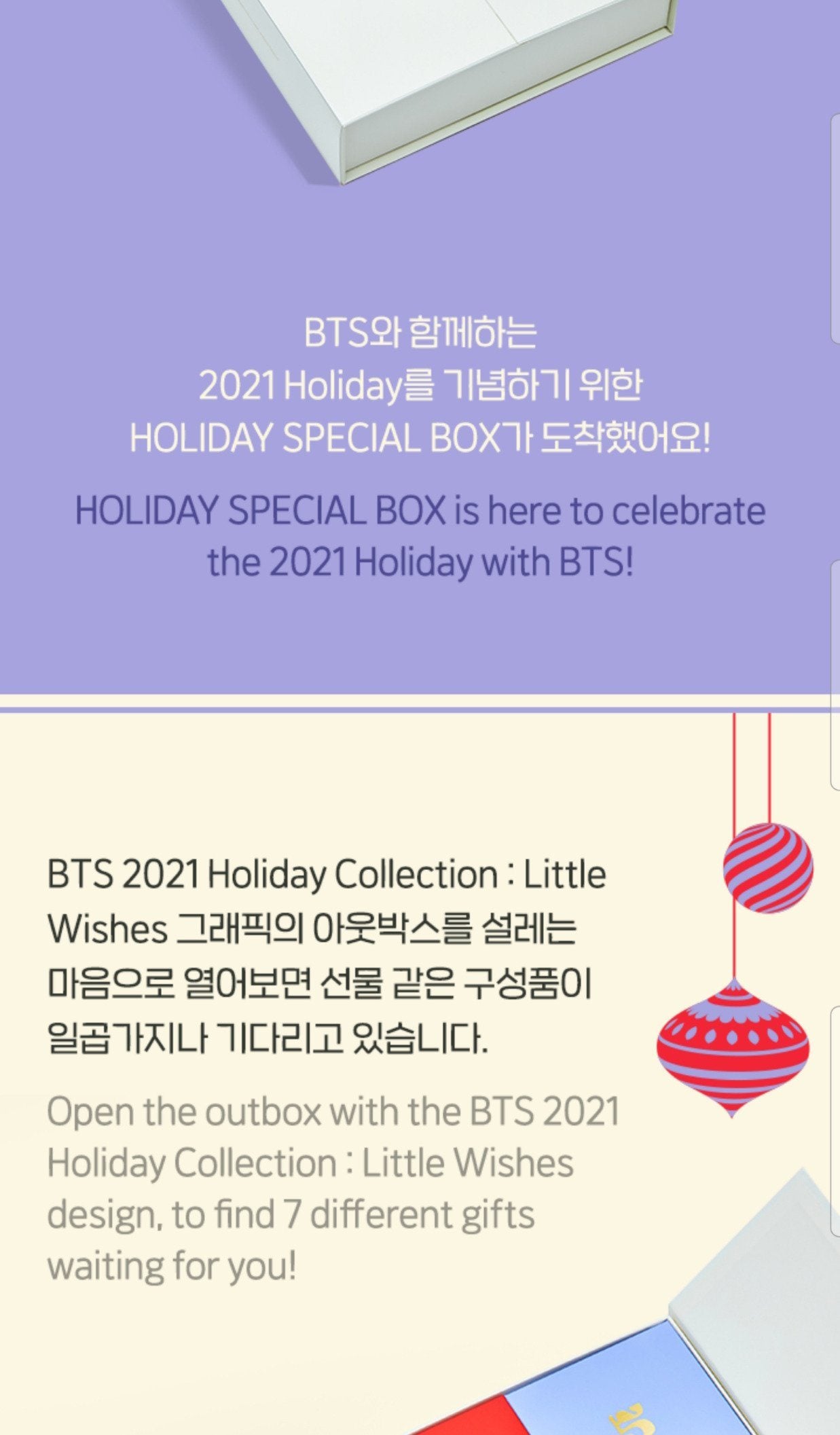 BTS - Holiday Special Box (Little Wishes)